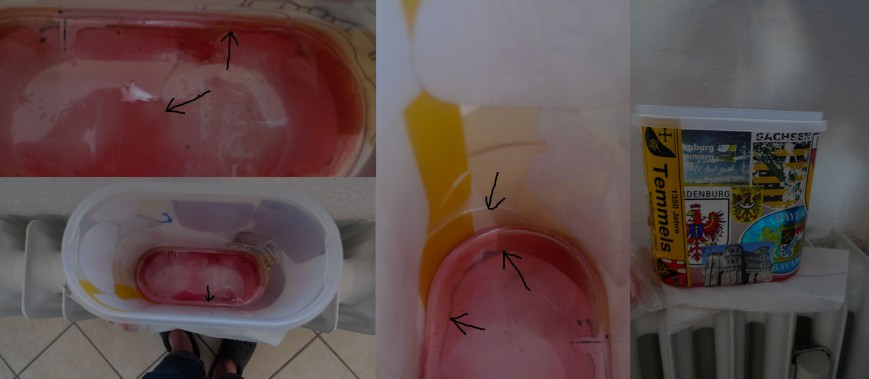 Klicke auf die Grafik für eine vergrößerte Ansicht

Name: Bild129.jpg
Ansichten: 43
Größe: 61,6 KB
ID: 3359891