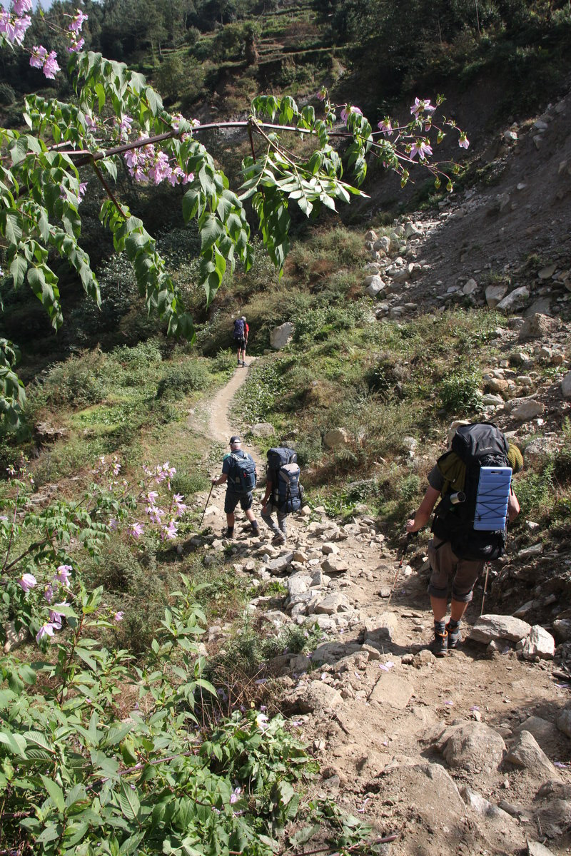 Klicke auf die Grafik für eine vergrößerte Ansicht  Name: IMG_0030.jpg Ansichten: 0 Größe: 524,1 KB ID: 3359967