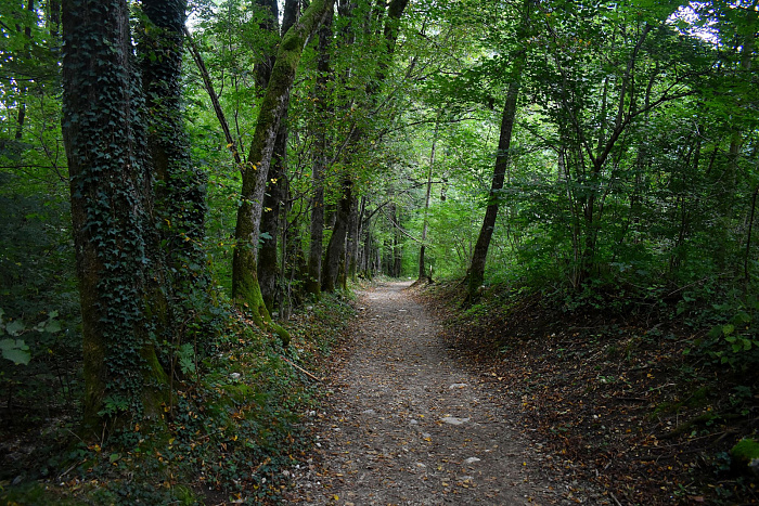 Klicke auf die Grafik für eine vergrößerte Ansicht  Name: DSC_0098.jpg Ansichten: 0 Größe: 1,22 MB ID: 3359987