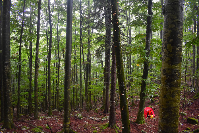 Klicke auf die Grafik für eine vergrößerte Ansicht  Name: DSC_0117.jpg Ansichten: 0 Größe: 1,18 MB ID: 3359990