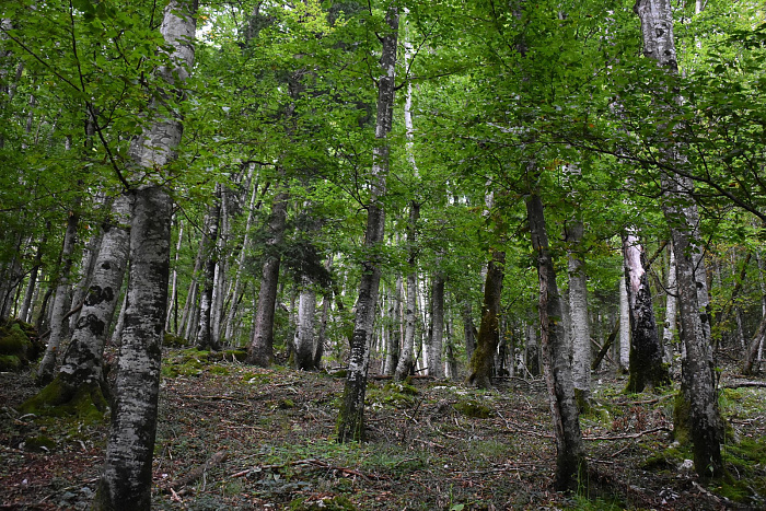 Klicke auf die Grafik für eine vergrößerte Ansicht  Name: DSC_0113.jpg Ansichten: 0 Größe: 1,26 MB ID: 3359991