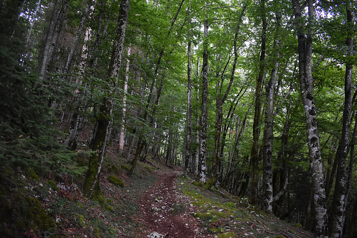 Klicke auf die Grafik für eine vergrößerte Ansicht  Name: DSC_0115.jpg Ansichten: 0 Größe: 1,12 MB ID: 3359993