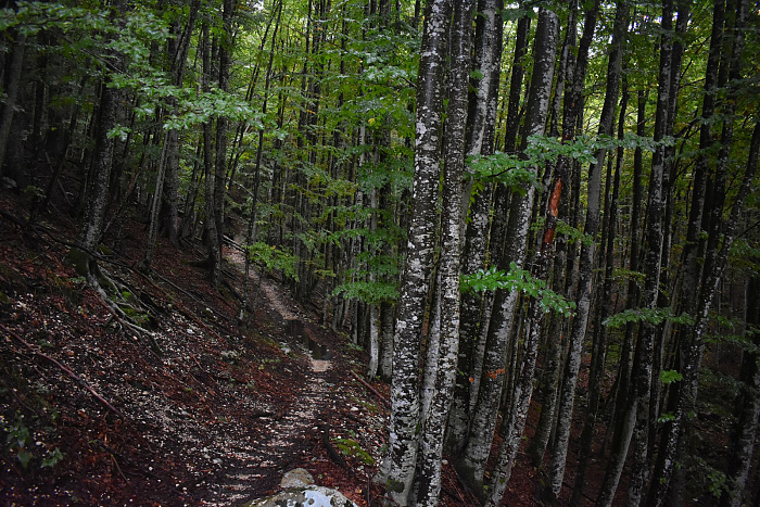 Klicke auf die Grafik für eine vergrößerte Ansicht  Name: DSC_0118.jpg Ansichten: 0 Größe: 1,08 MB ID: 3359995