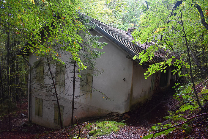 Klicke auf die Grafik für eine vergrößerte Ansicht  Name: DSC_0119.jpg Ansichten: 0 Größe: 1,17 MB ID: 3359997