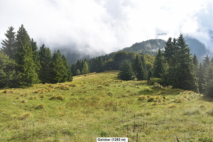 Klicke auf die Grafik für eine vergrößerte Ansicht  Name: DSC_0125.jpg Ansichten: 0 Größe: 944,3 KB ID: 3360001