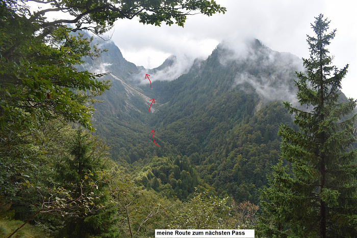 Klicke auf die Grafik für eine vergrößerte Ansicht  Name: DSC_0127.jpg Ansichten: 0 Größe: 954,8 KB ID: 3360003