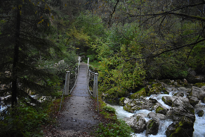 Klicke auf die Grafik für eine vergrößerte Ansicht  Name: DSC_0161.jpg Ansichten: 0 Größe: 1,04 MB ID: 3360011