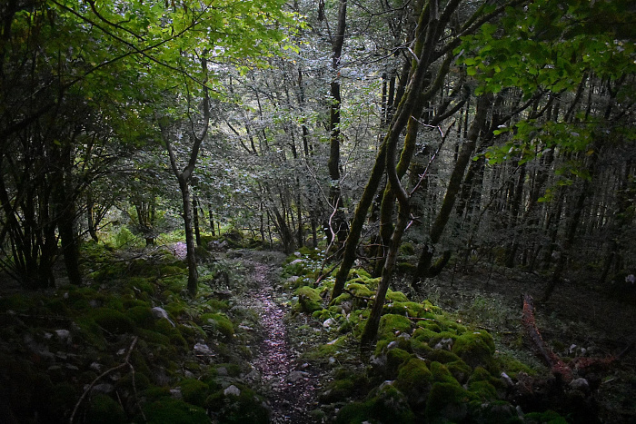 Klicke auf die Grafik für eine vergrößerte Ansicht  Name: DSC_0160.jpg Ansichten: 0 Größe: 981,2 KB ID: 3360013