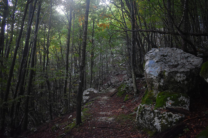 Klicke auf die Grafik für eine vergrößerte Ansicht  Name: DSC_0150.jpg Ansichten: 0 Größe: 953,0 KB ID: 3360015