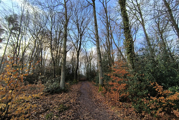 Klicke auf die Grafik für eine vergrößerte Ansicht

Name: 7.jpg
Ansichten: 134
Größe: 1,43 MB
ID: 3360052