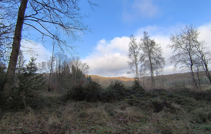 Klicke auf die Grafik für eine vergrößerte Ansicht

Name: 8.jpg
Ansichten: 137
Größe: 952,4 KB
ID: 3360053