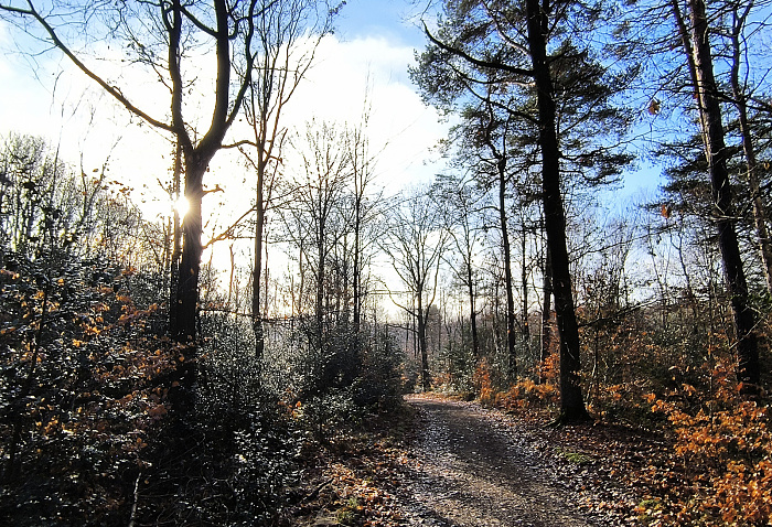 Klicke auf die Grafik für eine vergrößerte Ansicht

Name: 9.jpg
Ansichten: 136
Größe: 1,35 MB
ID: 3360071