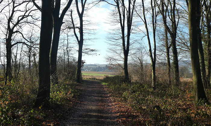 Klicke auf die Grafik für eine vergrößerte Ansicht

Name: 12.jpg
Ansichten: 134
Größe: 1,09 MB
ID: 3360055