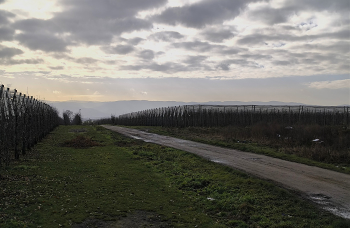 Klicke auf die Grafik für eine vergrößerte Ansicht

Name: 17.jpg
Ansichten: 133
Größe: 635,9 KB
ID: 3360059