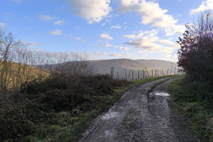 Klicke auf die Grafik für eine vergrößerte Ansicht

Name: 27.jpg
Ansichten: 134
Größe: 913,4 KB
ID: 3360068