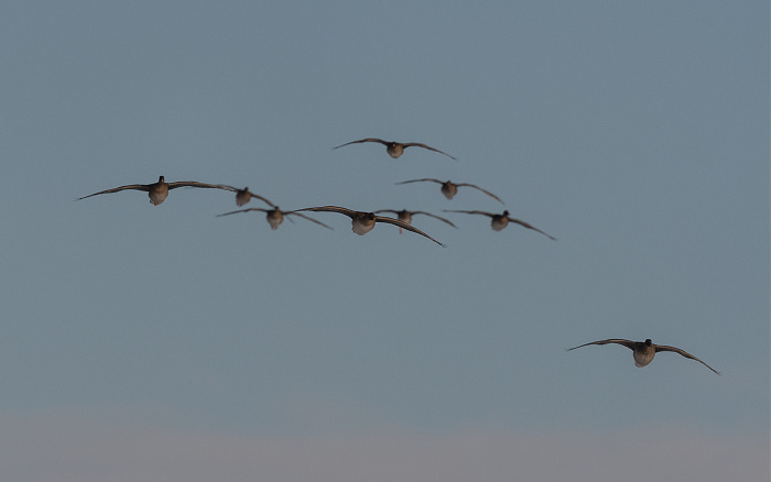 Klicke auf die Grafik für eine vergrößerte Ansicht

Name: DSC_2641.jpg
Ansichten: 162
Größe: 174,9 KB
ID: 3360077