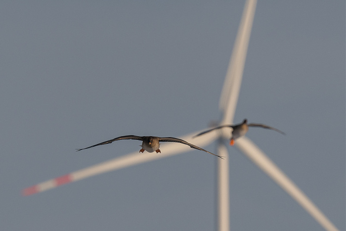 Klicke auf die Grafik für eine vergrößerte Ansicht

Name: DSC_2648.jpg
Ansichten: 164
Größe: 191,3 KB
ID: 3360078