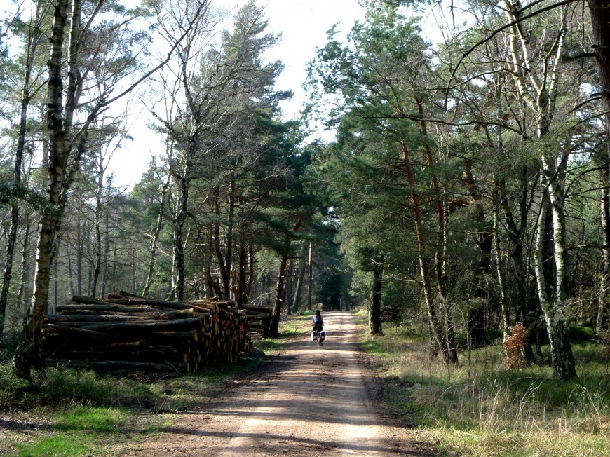 Klicke auf die Grafik für eine vergrößerte Ansicht

Name: aP1110232.jpg
Ansichten: 34
Größe: 301,1 KB
ID: 3360097