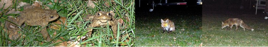 Klicke auf die Grafik für eine vergrößerte Ansicht

Name: Bild6a.jpg
Ansichten: 35
Größe: 72,5 KB
ID: 3360107