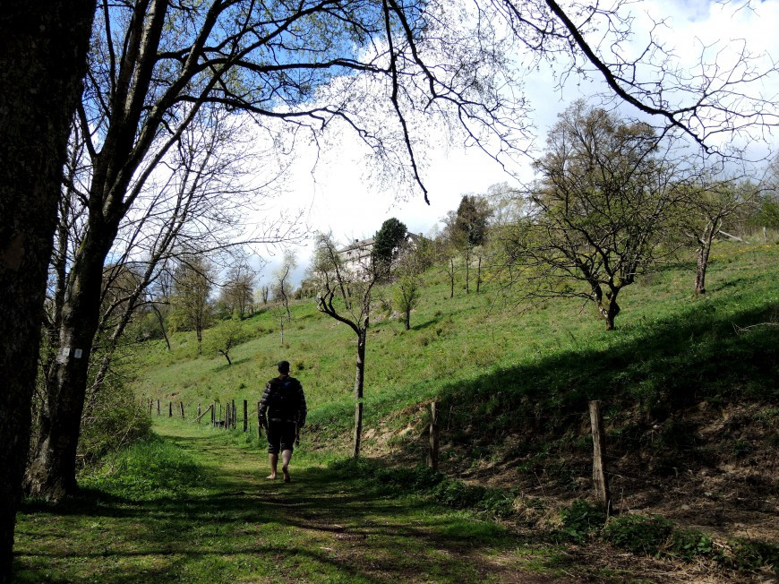 Klicke auf die Grafik für eine vergrößerte Ansicht  Name: aDSCN3592.jpg Ansichten: 0 Größe: 301,2 KB ID: 3360129