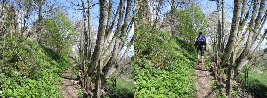 Klicke auf die Grafik für eine vergrößerte Ansicht  Name: aBild34.jpg Ansichten: 0 Größe: 183,3 KB ID: 3360130