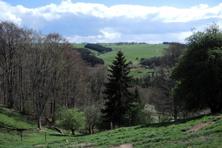 Klicke auf die Grafik für eine vergrößerte Ansicht  Name: aDSCN3666.jpg Ansichten: 0 Größe: 192,4 KB ID: 3360140