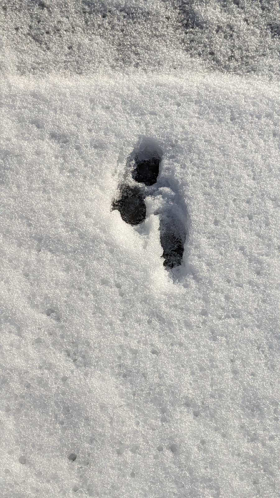 Klicke auf die Grafik für eine vergrößerte Ansicht  Name: PXL_20260109_092310162.jpg Ansichten: 0 Größe: 883,0 KB ID: 3360182