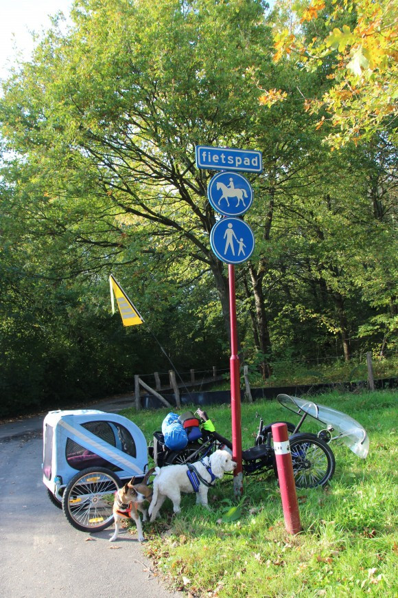 Klicke auf die Grafik für eine vergrößerte Ansicht  Name: IMG_6807.jpg Ansichten: 2 Größe: 300,9 KB ID: 3360242