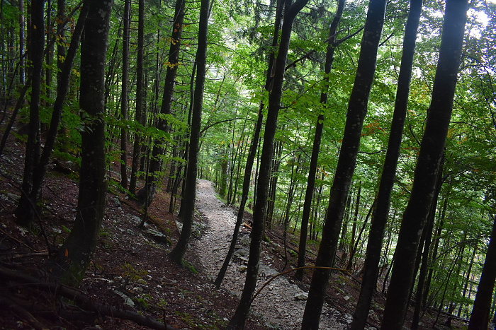 Klicke auf die Grafik für eine vergrößerte Ansicht  Name: DSC_0171.jpg Ansichten: 0 Größe: 1,09 MB ID: 3360255