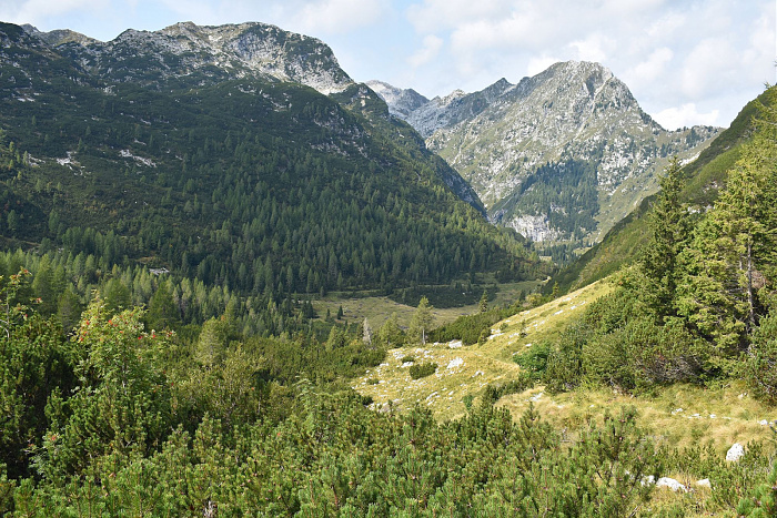 Klicke auf die Grafik für eine vergrößerte Ansicht  Name: DSC_0199.jpg Ansichten: 0 Größe: 1,13 MB ID: 3360256