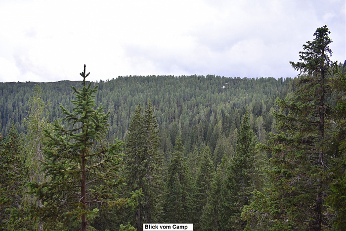 Klicke auf die Grafik für eine vergrößerte Ansicht  Name: DSC_0252.jpg Ansichten: 0 Größe: 797,9 KB ID: 3360260