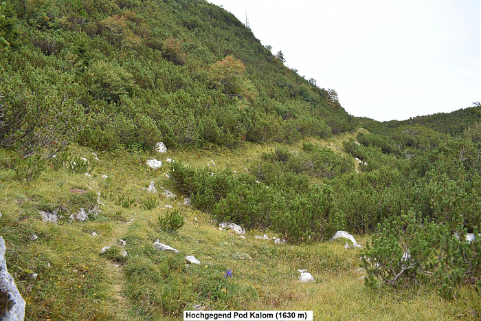 Klicke auf die Grafik für eine vergrößerte Ansicht  Name: DSC_0247.jpg Ansichten: 0 Größe: 1,16 MB ID: 3360261