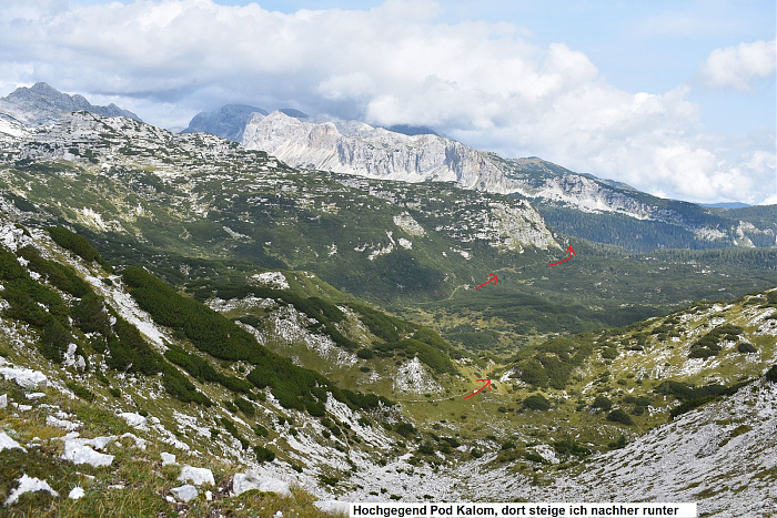 Klicke auf die Grafik für eine vergrößerte Ansicht  Name: DSC_0231.jpg Ansichten: 0 Größe: 1.016,6 KB ID: 3360263