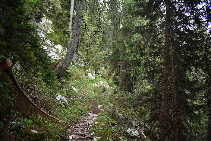 Klicke auf die Grafik für eine vergrößerte Ansicht  Name: DSC_0250.jpg Ansichten: 0 Größe: 1,27 MB ID: 3360264