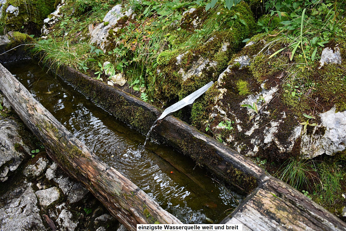 Klicke auf die Grafik für eine vergrößerte Ansicht  Name: DSC_0251.jpg Ansichten: 0 Größe: 1,28 MB ID: 3360265