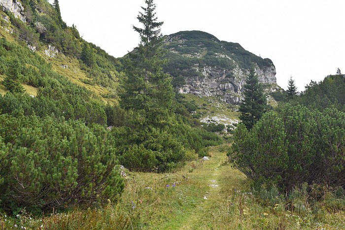 Klicke auf die Grafik für eine vergrößerte Ansicht  Name: DSC_0201.jpg Ansichten: 0 Größe: 1,06 MB ID: 3360269