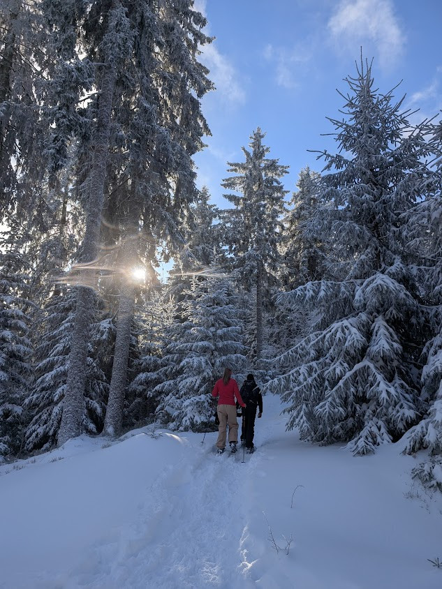 Klicke auf die Grafik für eine vergrößerte Ansicht  Name: PXL_20260111_102055671.jpg Ansichten: 0 Größe: 225,6 KB ID: 3360278