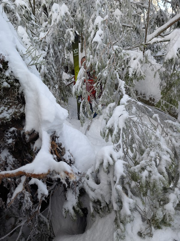 Klicke auf die Grafik für eine vergrößerte Ansicht  Name: PXL_20260111_100558723.jpg Ansichten: 0 Größe: 235,5 KB ID: 3360279