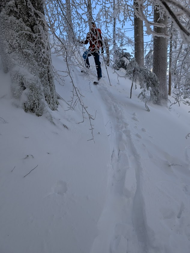 Klicke auf die Grafik für eine vergrößerte Ansicht  Name: PXL_20260111_095855298.jpg Ansichten: 0 Größe: 139,1 KB ID: 3360302