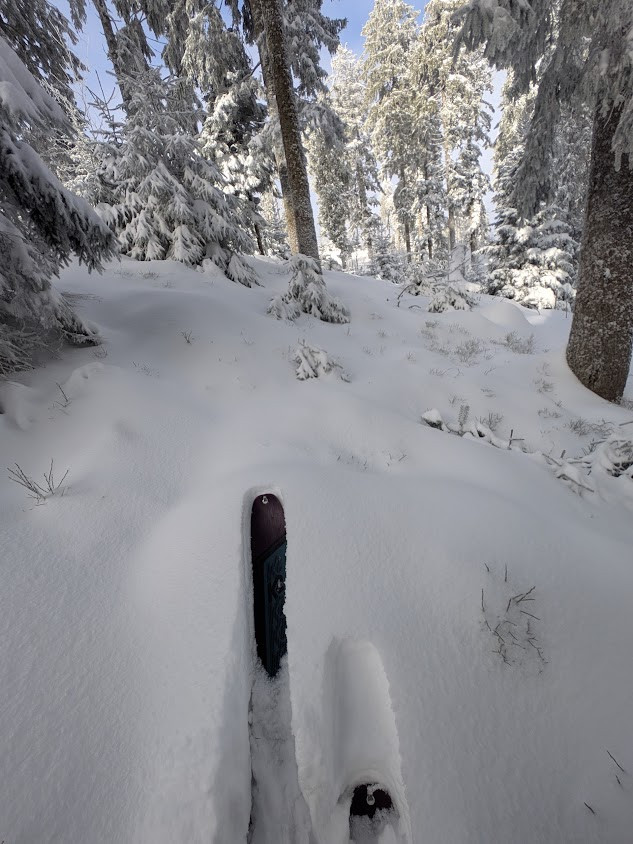 Klicke auf die Grafik für eine vergrößerte Ansicht  Name: PXL_20260111_103246719.jpg Ansichten: 0 Größe: 151,6 KB ID: 3360283