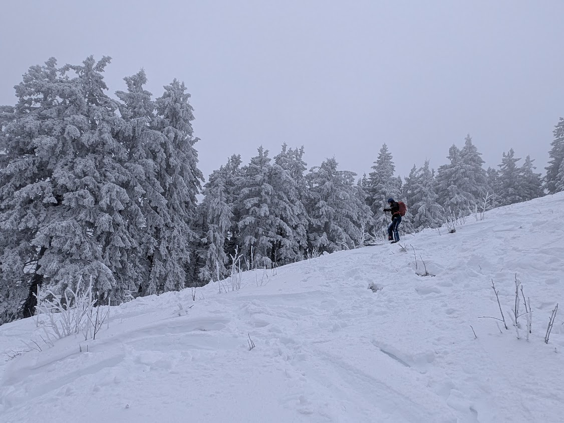 Klicke auf die Grafik für eine vergrößerte Ansicht  Name: PXL_20260111_114546295.jpg Ansichten: 0 Größe: 239,7 KB ID: 3360285