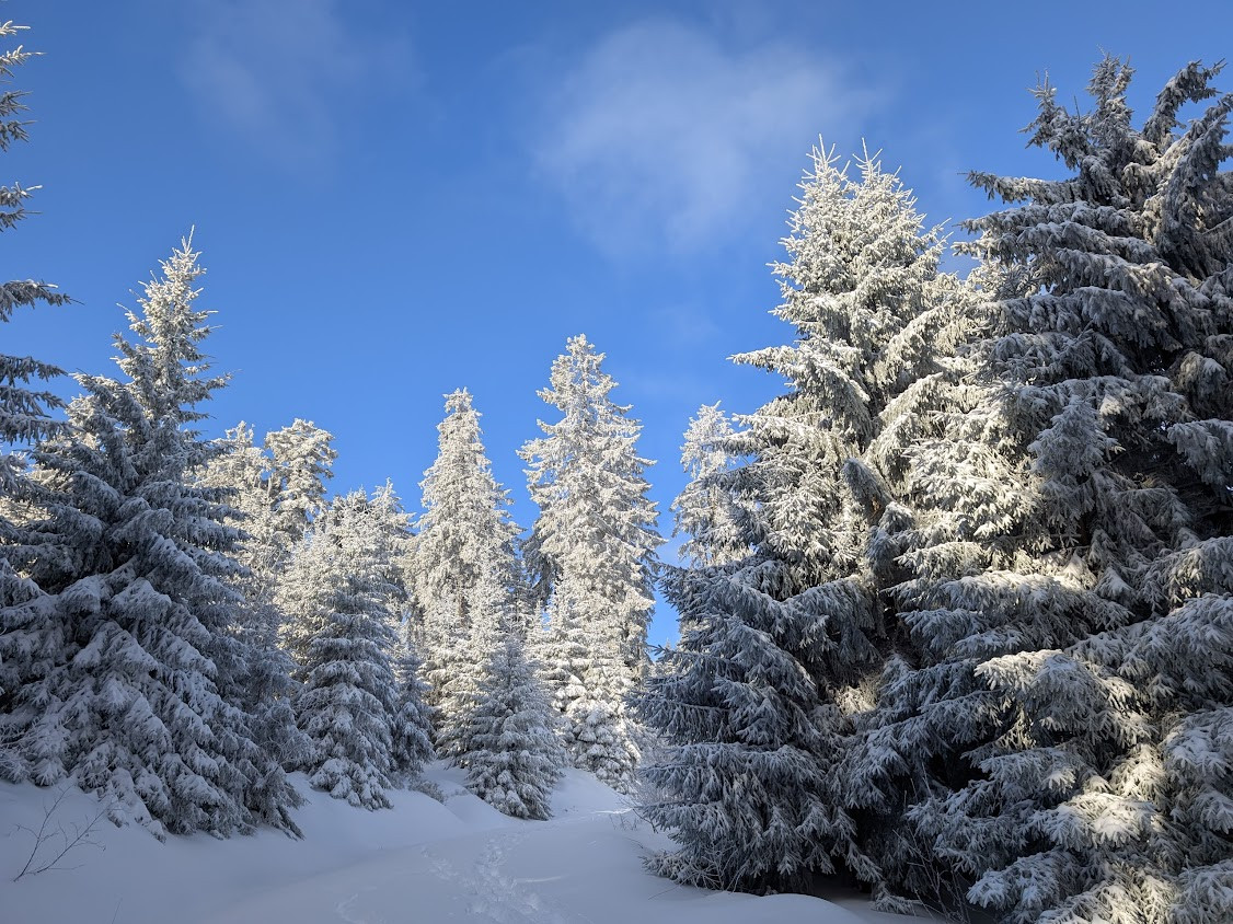 Klicke auf die Grafik für eine vergrößerte Ansicht  Name: PXL_20260111_102108964.jpg Ansichten: 0 Größe: 389,4 KB ID: 3360306