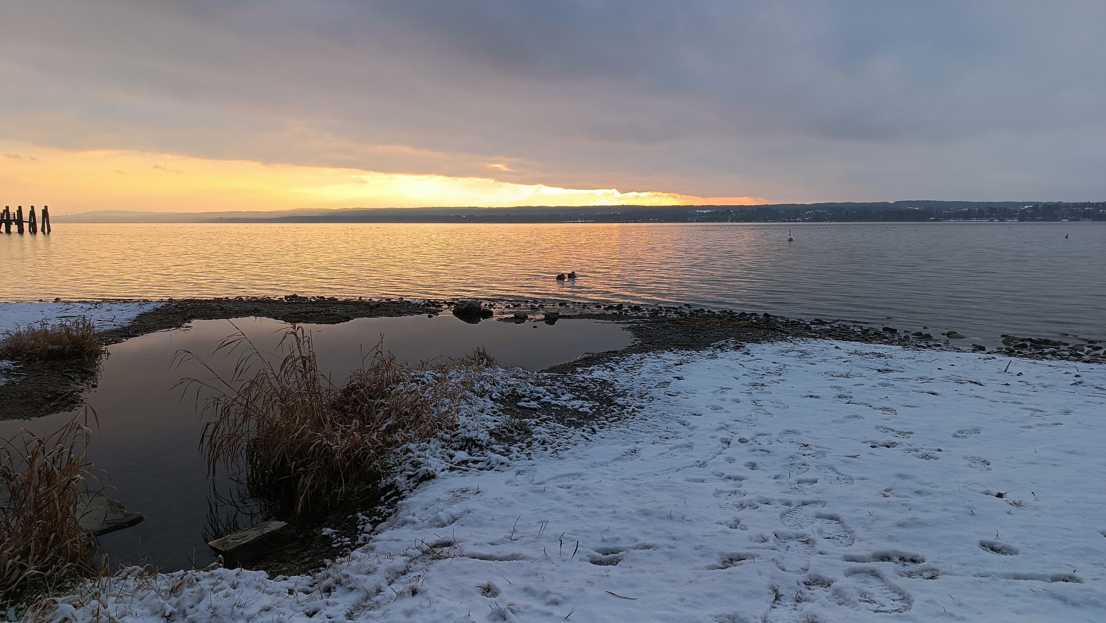 Klicke auf die Grafik für eine vergrößerte Ansicht

Name: IMG_20260111_160620.jpg
Ansichten: 71
Größe: 595,5 KB
ID: 3360289