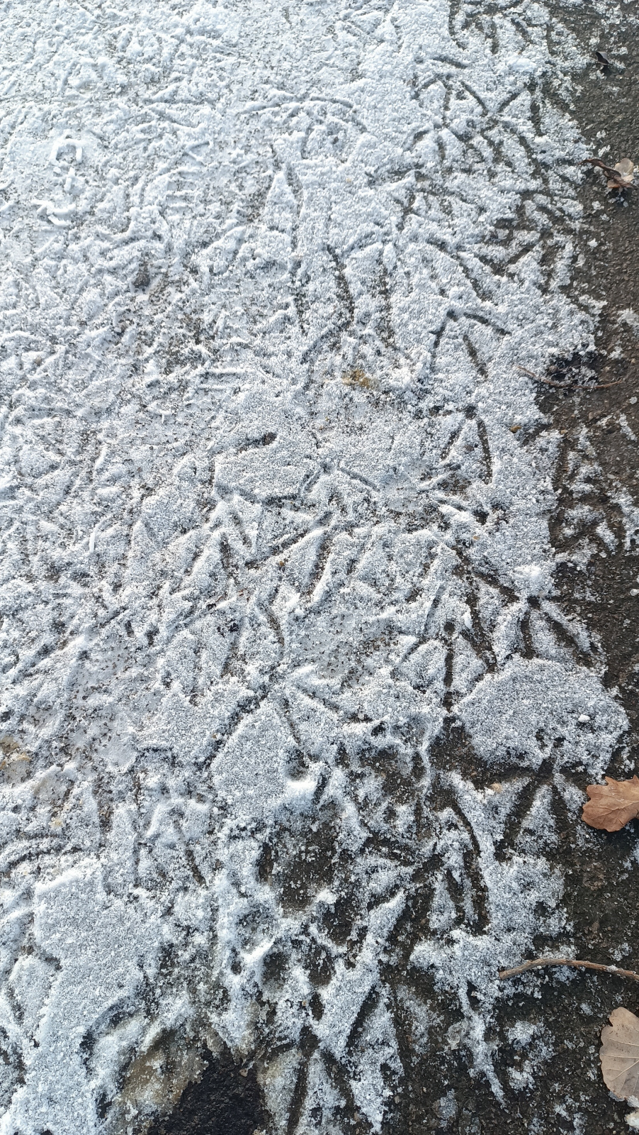 Klicke auf die Grafik für eine vergrößerte Ansicht

Name: IMG_20260111_154503.jpg
Ansichten: 71
Größe: 1,14 MB
ID: 3360291