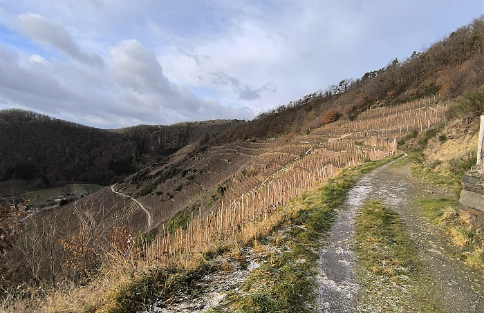 Klicke auf die Grafik für eine vergrößerte Ansicht

Name: 3.jpg
Ansichten: 45
Größe: 926,1 KB
ID: 3360367