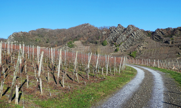 Klicke auf die Grafik für eine vergrößerte Ansicht

Name: 8.jpg
Ansichten: 45
Größe: 923,6 KB
ID: 3360371