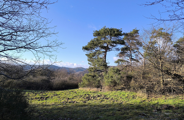 Klicke auf die Grafik für eine vergrößerte Ansicht

Name: 9.jpg
Ansichten: 45
Größe: 1,33 MB
ID: 3360372