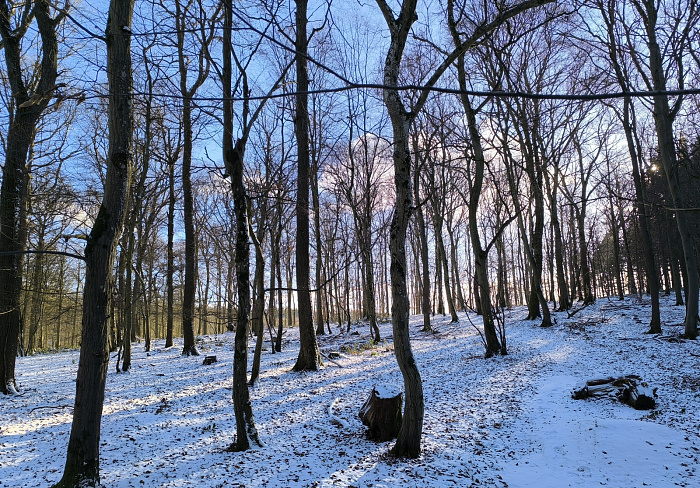 Klicke auf die Grafik für eine vergrößerte Ansicht

Name: 27.jpg
Ansichten: 44
Größe: 1,44 MB
ID: 3360386