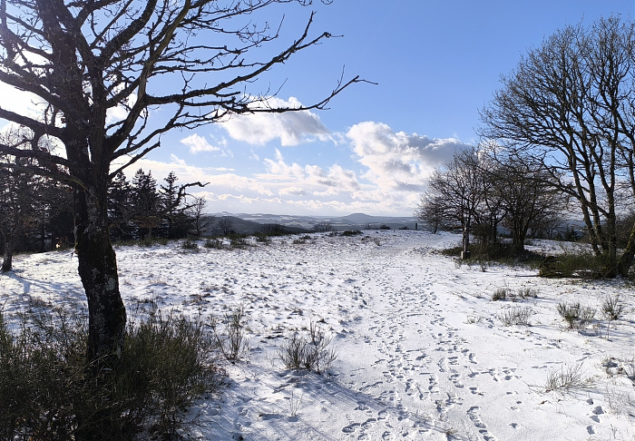 Klicke auf die Grafik für eine vergrößerte Ansicht

Name: 29.jpg
Ansichten: 44
Größe: 1,07 MB
ID: 3360388