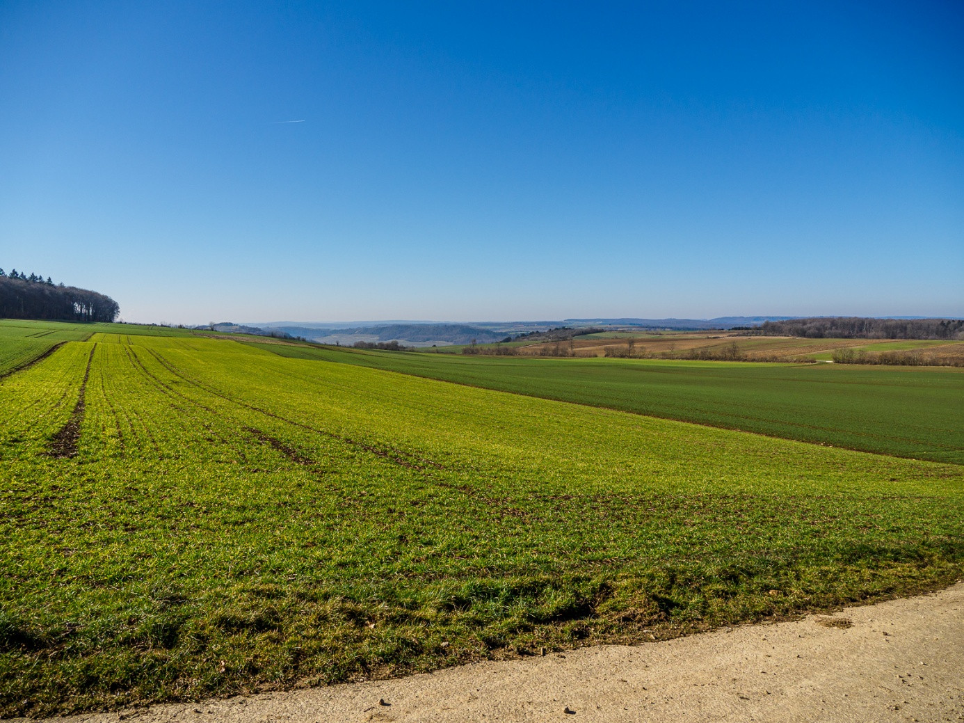 Klicke auf die Grafik für eine vergrößerte Ansicht

Name: dataurl134616.jpg
Ansichten: 53
Größe: 563,9 KB
ID: 3360501